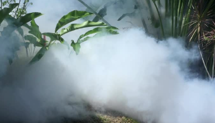 Mosquito Misting
