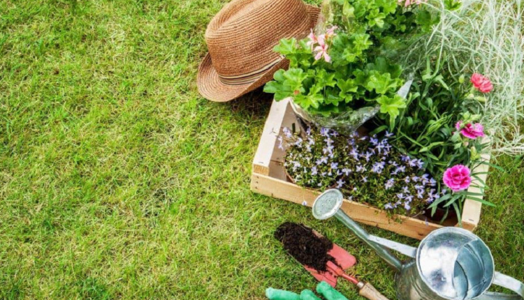 Landscape Maintenance